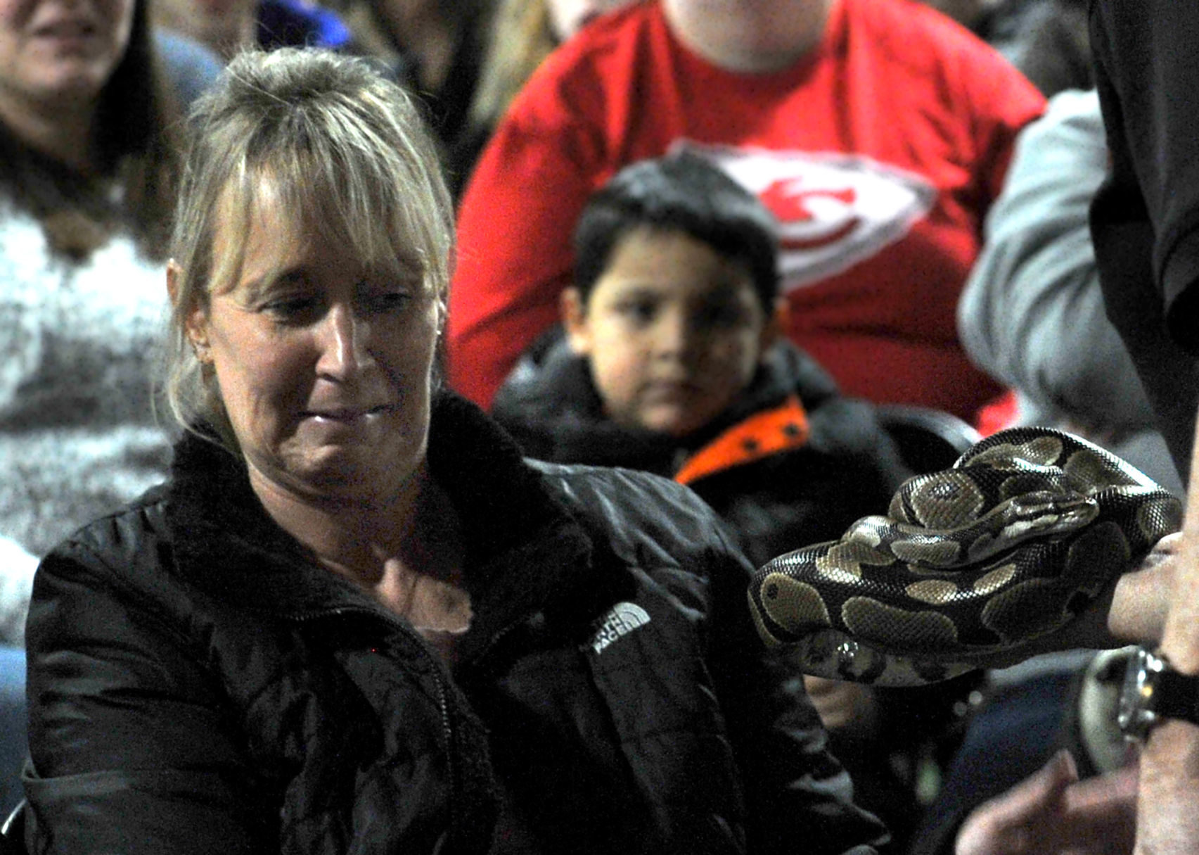 Bald Eagle Days at the QCCA Expo Center